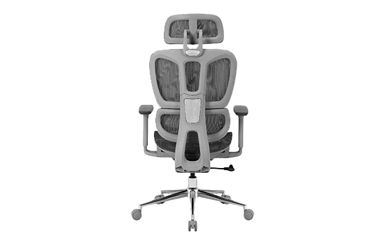  Bluecase Office Ergo Master